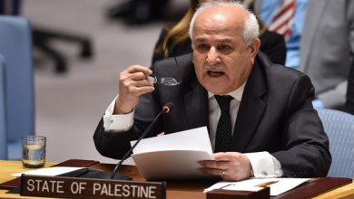 رياض منصور: الكيان الصهيوني يواصل حرب الإبادة الجماعية بحق الشعب الفلسطيني في غزة والضفة