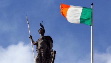 Irish General Election: Fianna Fáil and Fine Gael Retain Power Amid Low Turnout