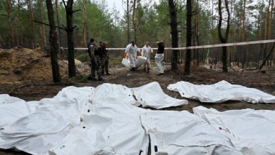 12 Bodies Found in Secret Graves in Northern Mexico