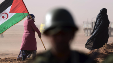 Sahrawi Group Calls for Urgent International Action to Protect Free Voices from Moroccan Occupation