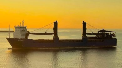 Two Sailors Missing After Russian Cargo Ship Sinks in Mediterranean Explosion