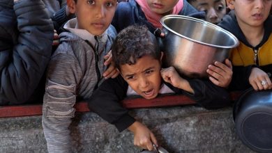 مليونا فلسطيني في غزة مهددون بالجوع الحاد بسبب العدوان المستمر