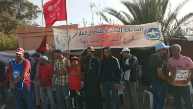 صورة من الأرشيف