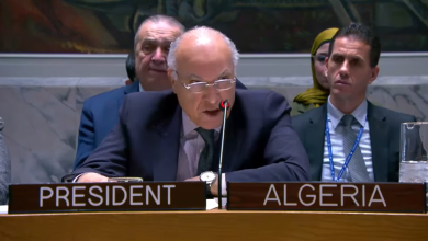 وزير الدولة، وزير الشؤون الخارجية الجزائري أحمد عطاف