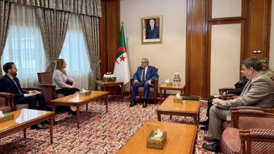 الوزير الأول الجزائري يستقبل سفيرة سلوفينيا