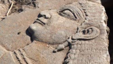 Iraqi archaeologists