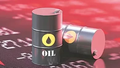 Oil