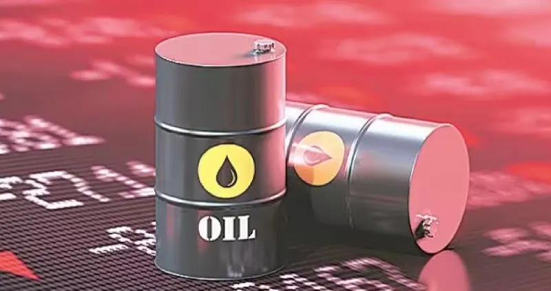 Oil