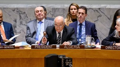 وزير الدولة، وزير الشؤون الخارجية الجزائري أحمد عطاف