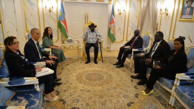 Mme Mansouri reçue par le président de la République du Soudan du Sud