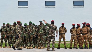 Niger : un terroriste tué et une dizaine d'autres interpellés