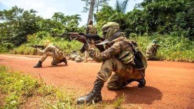 RCA : plus de 7.000 villageois réfugiés au chef-lieu dans le nord-ouest après une attaque armée