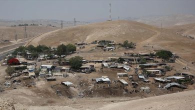 l'Organisation al-Baidar pour la défense des Bédouins