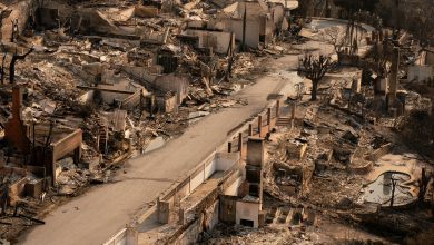 حرائق لوس أنجلوس