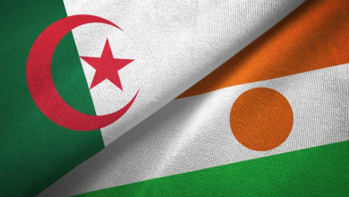 الجزائر تدعم النيجر بمحطة كهربائية بقدرة 40 ميغاوات