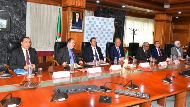 وزير الدولة وزير الطاقة الجزائري محمد عرقاب