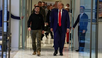 دونالد ترامب وفولولديمير زيلنسكي