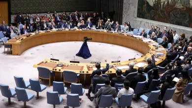 مجلس الأمن الدولي