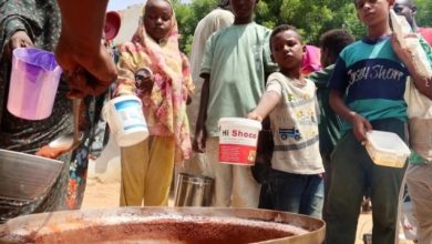 المجاعة في دارفور