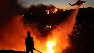 اليابان: أوامر بإخلاء 2000 شخص بسبب حرائق غابات ضخمة