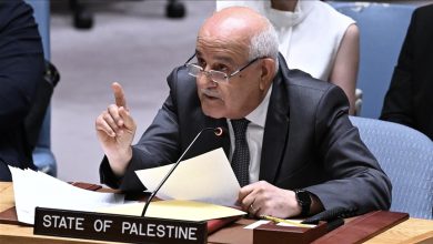 Palestine’s UN Envoy Urges Action Against Ongoing Zionist Aggression