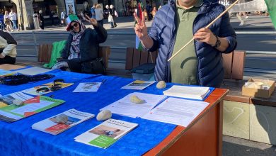 يوم تضامني في بيرن للمطالبة بالإفراج عن المعتقلين السياسيين الصحراويين