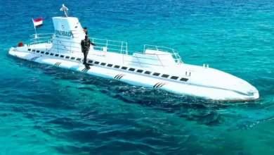 Six Russian Tourists Killed in Submarine Accident Off Egypt’s Red Sea Coast