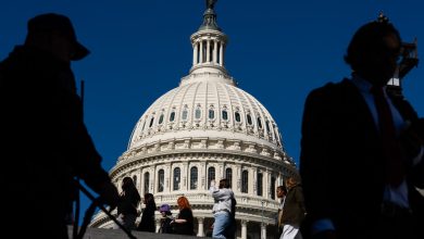 US Senate Democrats Mobilize to Prevent Government Shutdown