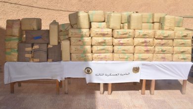 الجيش الجزائري يحبط محاولة إدخال كمية معتبرة من المخدرات عبر الحدود مع المغرب