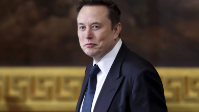 مالك منصة إكس، إيلون ماسك