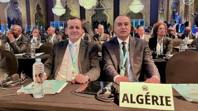 Algeria’s Walid Sadi Elected to CAF Executive Committee