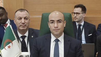 كاتب الدولة لدى وزير الشؤون الخارجية المكلف بالجالية الوطنية بالخارج، سفيان شايب