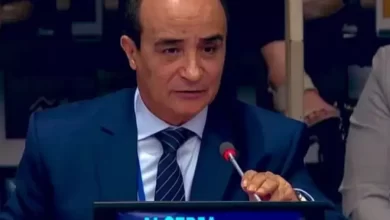 الجزائر تؤكد التزامها بضمان الحقوق والحريات وفق المعايير الدولية