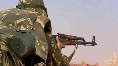 Algérie/ANP : mise en échec de tentatives d'introduction de plus de 30 quintaux de drogue en provenance du Maroc