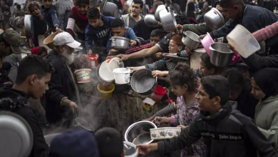 Afrique du Sud : l'entité sioniste utilise la famine comme arme de guerre en Palestine