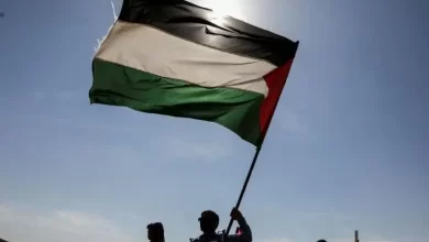 Palestinian