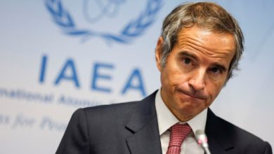 IAEA Chief Criticizes Macron’s Nuclear Statements