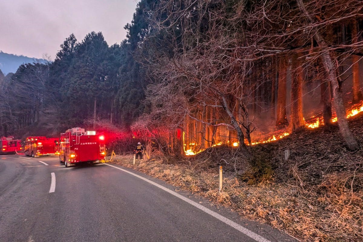 Incendie de forêt au Japon : les ordres d'évacuation partiellement levés
