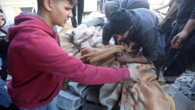 Ghaza : des dizaines de martyrs et de blessés dans les bombardements sionistes