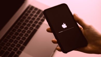 Apple Releases Emergency Update to Fix Critical iPhone Vulnerability