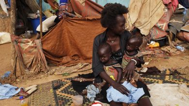 28 Million People Facing Acute Hunger in the Democratic Republic of the Congo