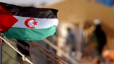 Spanish Union Leader Warns of Escalating Human Rights Violations in Western Sahara