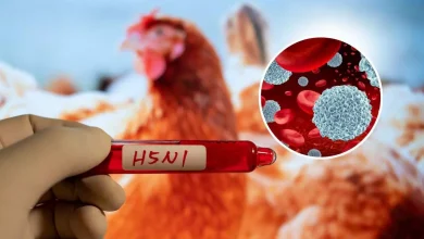H5N1