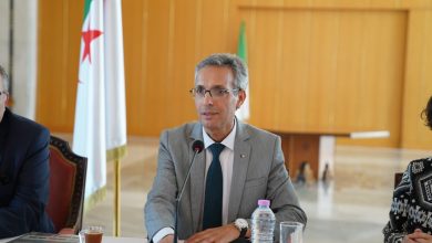 وزير الثقافة والفنون الجزائري، زهير بللو