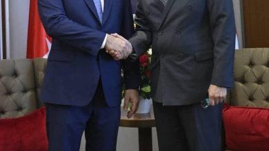 أحمد عطاف وهاكان فيدان