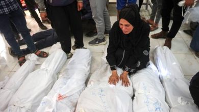 حرب الإبادة الجماعية في غزة