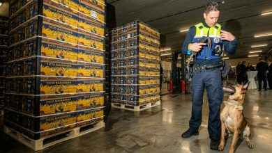 بلجيكا: توقيف مهرب مخدرات من أصل مغربي في منطقة ميناء أنتويرب