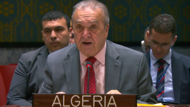 Conseil de sécurité : les A3+ appellent à une transition inclusive en Syrie