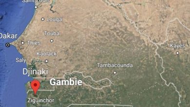 Sénégal : un militaire blessé et un autre porté disparu après une attaque en Casamance