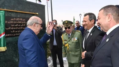 Iron Ore Concentrate